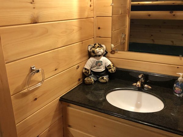 sink and vanity