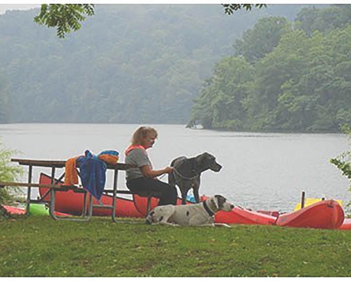 woman with dogs at beach