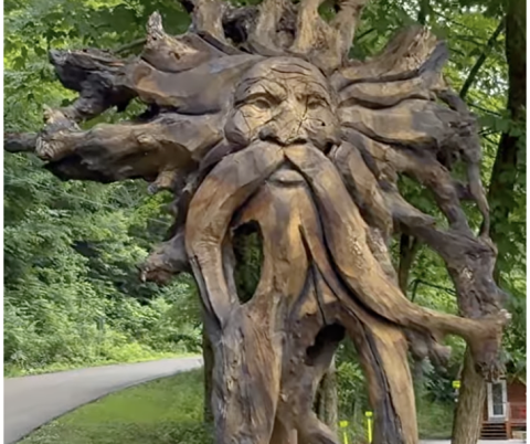 chainsaw carving