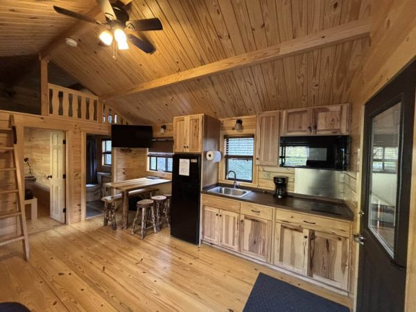 Lady Bug Cabin at Austin Lake Park in Toronto OH